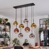 Gastor hanging light, globe light, pendant light chrome, gold, clear, coppery, Smoke-coloured, 8-light sources