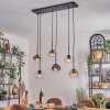 Ripoll hanging light, globe light, pendant light Amber, clear, Smoke-coloured, 6-light sources