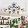 Ripoll ceiling light, globe light Amber, clear, Smoke-coloured, 10-light sources