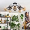 Ripoll ceiling light, globe light Amber, Smoke-coloured, 10-light sources