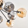 Ripoll ceiling light, globe light Amber, Smoke-coloured, 10-light sources