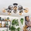 Ripoll ceiling light, globe light Amber, Smoke-coloured, 10-light sources