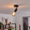 CACOQ Ceiling Light black, 1-light source