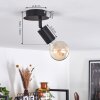 CACOQ Ceiling Light black, 1-light source