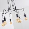 Cuyama Pendant Light black, 6-light sources