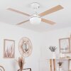 Hausvik ceiling fan brown, white, 1-light source, Remote control