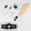 Hausvik ceiling fan brown, white, 1-light source, Remote control