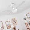 Hausvik ceiling fan brown, white, 1-light source, Remote control