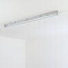 Ilena outdoor ceiling light, outdoor light, bathroom light, spotlight, ceiling light LED grey, 1-light source