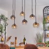 Ripoll hanging light, globe light, pendant light Amber, clear, Smoke-coloured, 6-light sources