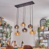 Ripoll hanging light, globe light, pendant light Amber, clear, Smoke-coloured, 6-light sources