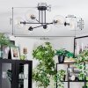 Koyoto ceiling light, globe light 78 cm clear, 6-light sources