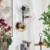 Koyoto globe light, wall light Amber, clear, Smoke-coloured, 3-light sources
