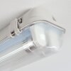 Ilena outdoor ceiling light, outdoor light, bathroom light, spotlight, ceiling light LED grey, 1-light source