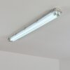 Ilena outdoor ceiling light, outdoor light, bathroom light, spotlight, ceiling light LED grey, 1-light source