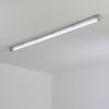 Ilena outdoor ceiling light, outdoor light, bathroom light, spotlight, ceiling light LED grey, 1-light source