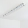 Ilena outdoor ceiling light, outdoor light, bathroom light, spotlight, ceiling light LED grey, 1-light source