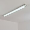 Ilena outdoor ceiling light, outdoor light, bathroom light, spotlight, ceiling light LED grey, 1-light source