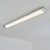 Ilena outdoor ceiling light, outdoor light, bathroom light, spotlight, ceiling light LED grey, 1-light source