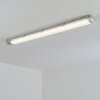Ilena outdoor ceiling light, outdoor light, bathroom light, spotlight, ceiling light LED grey, 1-light source