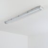 Ilena outdoor ceiling light, outdoor light, bathroom light, spotlight, ceiling light LED grey, 1-light source