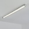 Ilena outdoor ceiling light, outdoor light, bathroom light, spotlight, ceiling light LED grey, 1-light source