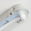 Ilena outdoor light, bathroom light, ceiling light LED grey, 1-light source