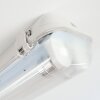 Ilena outdoor ceiling light, outdoor light, bathroom light, spotlight, ceiling light LED grey, 1-light source