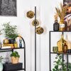 Ripoll globe light, floor lamp gold, 3-light sources