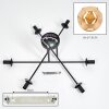 Ripoll ceiling light, globe light Amber, 6-light sources