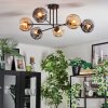 Ripoll ceiling light, globe light Amber, Smoke-coloured, 6-light sources