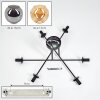 Ripoll ceiling light, globe light Amber, Smoke-coloured, 6-light sources