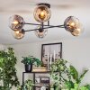 Ripoll ceiling light, globe light Amber, clear, Smoke-coloured, 6-light sources