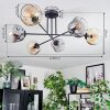 Ripoll ceiling light, globe light Amber, clear, Smoke-coloured, 6-light sources