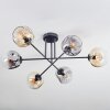 Ripoll ceiling light, globe light Amber, clear, Smoke-coloured, 6-light sources
