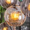 Koyoto hanging light, globe light, pendant light Amber, clear, Smoke-coloured, 8-light sources