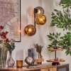 Ripoll globe light, wall light gold, coppery, Smoke-coloured, 3-light sources