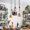 Koyoto hanging light, globe light, pendant light Amber, chrome, clear, Smoke-coloured, 6-light sources