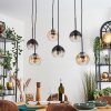 Koyoto hanging light, globe light, pendant light Amber, clear, Smoke-coloured, 6-light sources