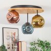Ripoll ceiling light, globe light Ecru, black, 3-light sources