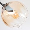 Koyoto ceiling light, globe light Amber, clear, Smoke-coloured, 3-light sources