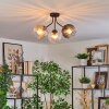 Koyoto ceiling light, globe light Amber, clear, Smoke-coloured, 3-light sources