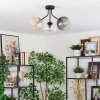 Koyoto ceiling light, globe light Amber, clear, Smoke-coloured, 3-light sources