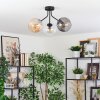 Koyoto ceiling light, globe light Amber, clear, Smoke-coloured, 3-light sources