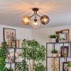 Koyoto ceiling light, globe light Amber, clear, Smoke-coloured, 3-light sources