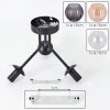 Koyoto ceiling light, globe light Amber, clear, Smoke-coloured, 3-light sources