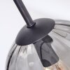 Koyoto ceiling light, globe light Amber, clear, Smoke-coloured, 3-light sources