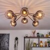 Koyoto ceiling light, globe light 85 cm clear, Smoke-coloured, 8-light sources