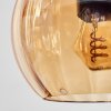Koyoto hanging light, globe light, pendant light Amber, clear, Smoke-coloured, 6-light sources
