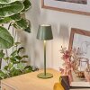 Salgadinho Outdoor table lamp, bathroom light, table lamp LED green, 1-light source